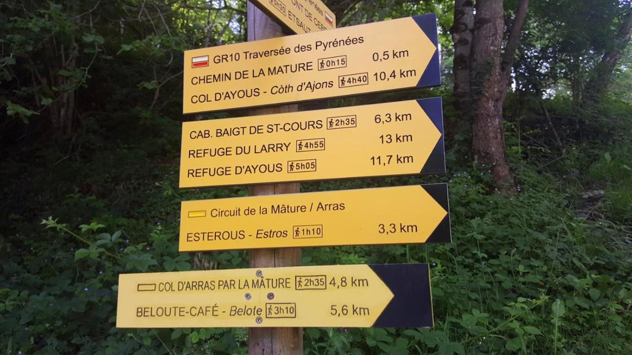 Le Gite Des Mousquetaires Lanne-en-Baretous Exterior photo