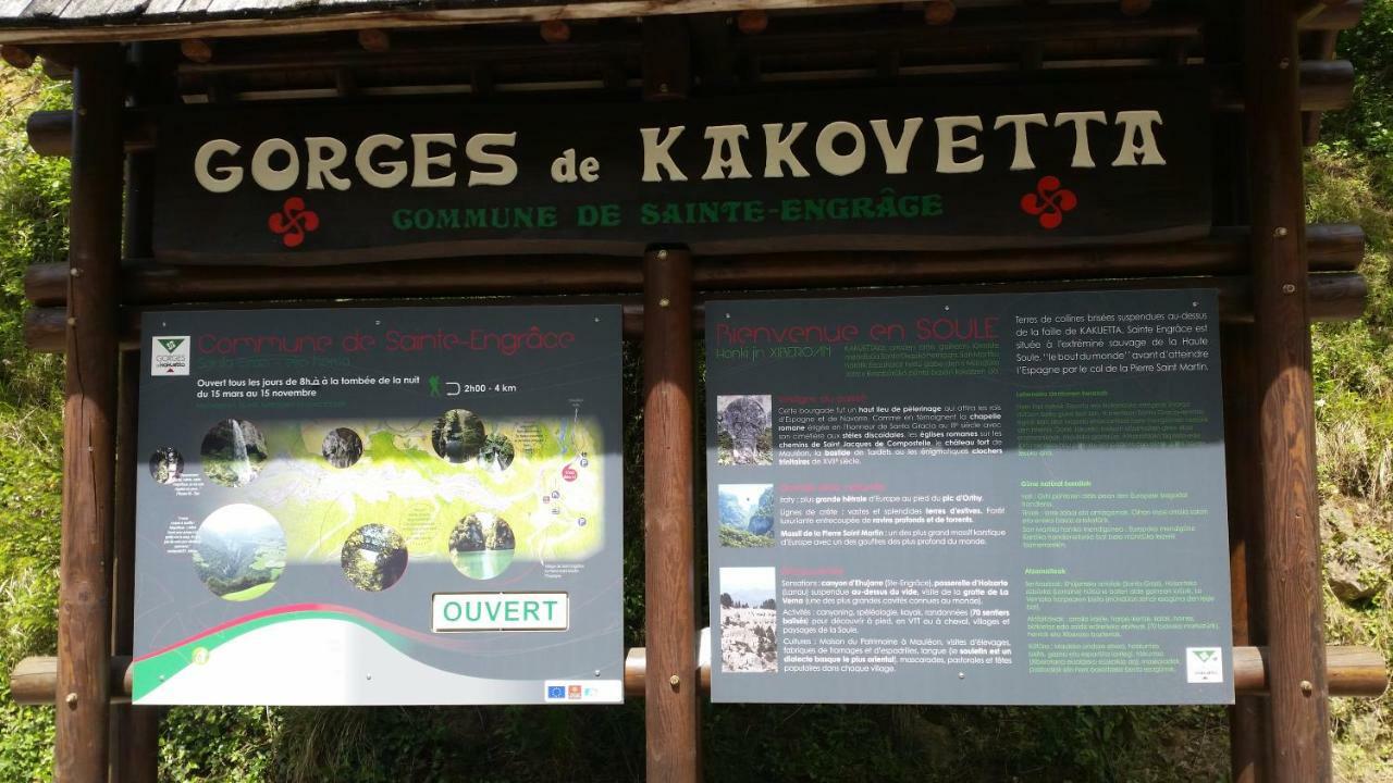 Le Gite Des Mousquetaires Lanne-en-Baretous Exterior photo