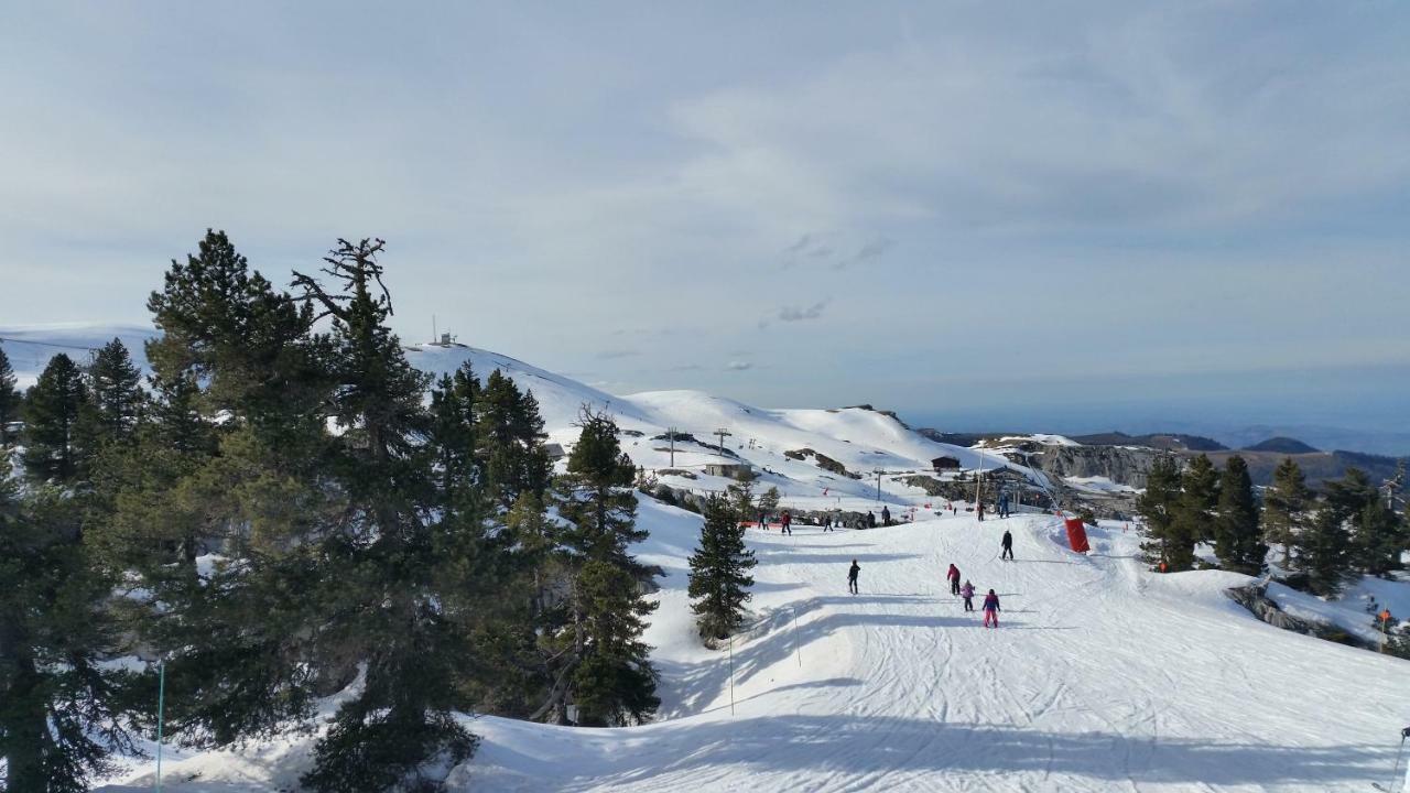 Le Gite Des Mousquetaires Lanne-en-Baretous Exterior photo